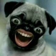 梁山伯与猪硬来