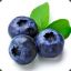 AV.Blueberries
