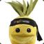 ninja pineapple