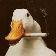 Duck Sirious avatar