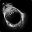 FuryShark