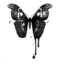 Black_butterfly