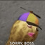 Sorry, Boss