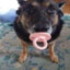 Matie_ball