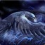 Thunderbird7213