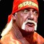 The Hulkster Freedom Fighter 2.1