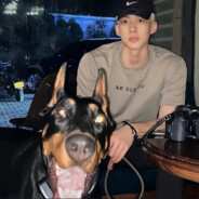 今天的风是甜味