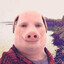 john porky pork