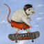 tubular rat on a skateboard