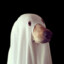 Perro Fantasma