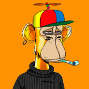 NoyZiee avatar
