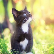 90岁老头爱打枪