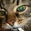 Avatar of player stay and amuse me