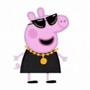 佩奇只玩内格夫