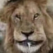 Hamster Non-alcoholic