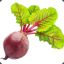 Beet