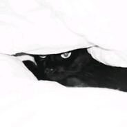 天才美少女极品男妈妈