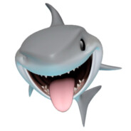 这是一条八爪鱼