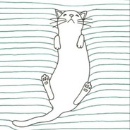 十分钟跳伞八次