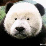 不吃子弹（练枪版）