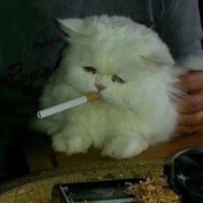 Похмельный червь