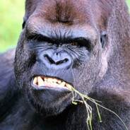 PiskaMamonta - steam id 76561199571557249