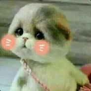 一枪一个董福庆