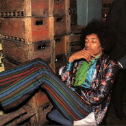 day tripper