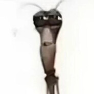 ᴍʀܔ♰D3Nd1♰♣♠♥♦