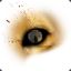Lioneye
