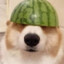 Qwery