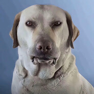 马嘉祺超绝蹲扫