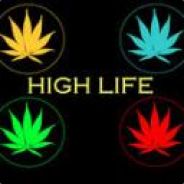 q1 || stolcownia.com