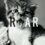 Kitties.go.roar