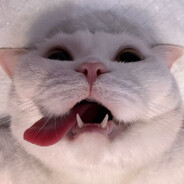 九十一斤白猪猪