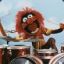 Muppets|NL|ANIMAL