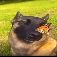 󠀡󠀡󠀡󠀡󠀡󠀡