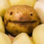 potato baron