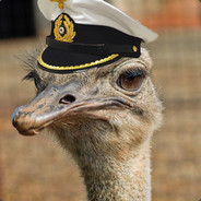 Capt. Ostrich