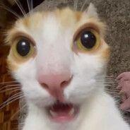 2Mucheffort avatar