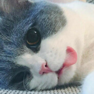 握酒称臣不尽曲