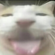 虫需云力白勺虫且