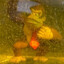 Piss Inspector®