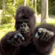 The Dennys Grand Slam