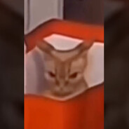 Mantubzik