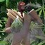 TF2 Spy Smoking Weed