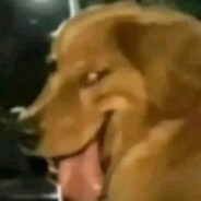 ☬ 𝕊𝕎𝕀'𝔽𝕋