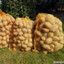 PotatoBag