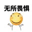龙子华
