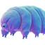 WotterBear